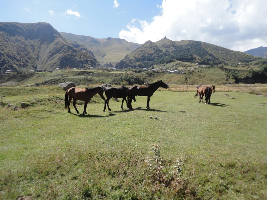 Soso Burduli'S Guesthouse Kazbegi Eksteriør billede