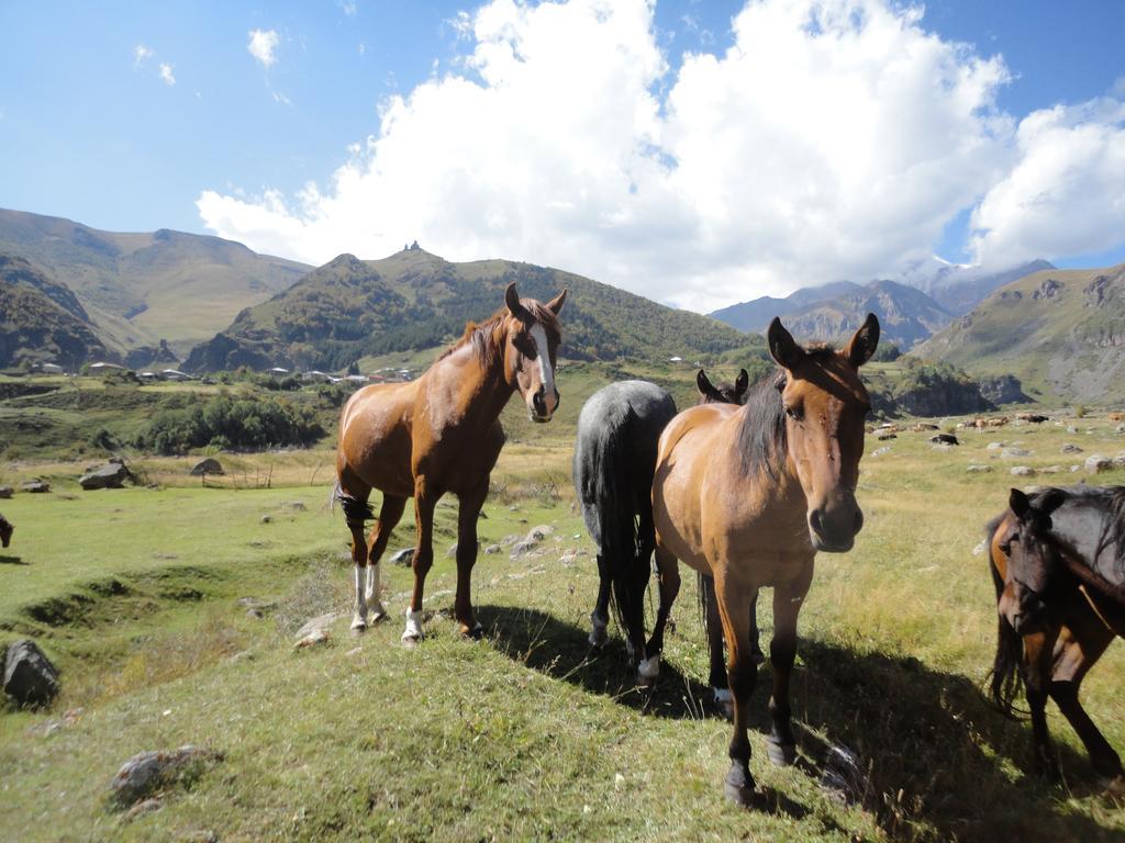 Soso Burduli'S Guesthouse Kazbegi Eksteriør billede