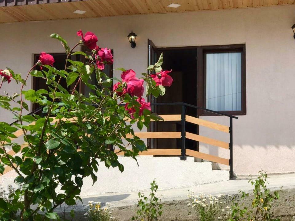 Soso Burduli'S Guesthouse Kazbegi Eksteriør billede